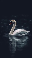 Minimalist Swan on Dark Background. Generative AI