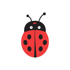 Obraz premium ladybug on white background