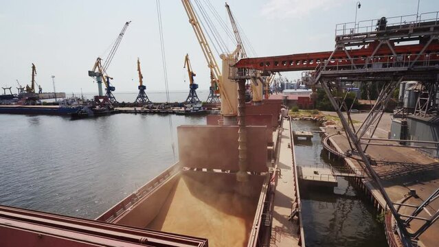 Grain loading to bulker ship cargo container at sea grain terminal in seaport. Wheat shipment from silos to bulk vessel via trunk at sea port. Transportation of agricultural harvest commodities.
