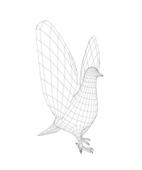 Pigeon vector wireframe character flat illustration. Dove pigeon seen in Side view - Flat style vector. 3D