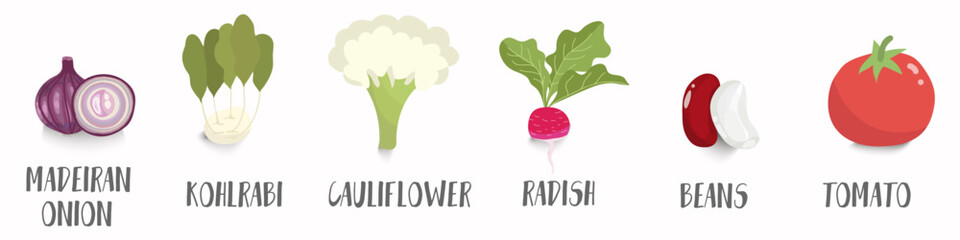 Vector vegetables icons set in cartoon style. Collection farm product for restaurant menu, market label.