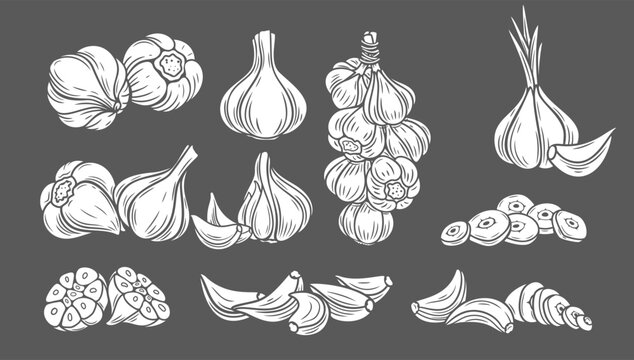 Garlic glyph icons set vector illustration. White stamps of fresh whole and chopped garlic cloves and bundle of bulbs collection isolated on black, pile of slices, raw head cut into halves with peel
