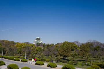 Wide view of Osaka castle with trees and clear blur sky