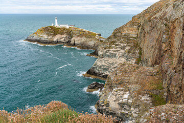 Views around South Stack Lighthouse with the heather out