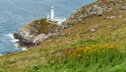 Fototapeta na wymiar Views around South Stack Lighthouse with the heather out