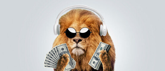 Funny hipster lion boss with fashion sunglasses and headphones holds money dollars in his paws on a gray background. Success and business, creative idea. Winner leader manager, concept