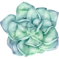 Obraz premium Green Flower Watercolor illustration