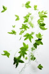 Obraz premium Falling leaves, AI generated Image