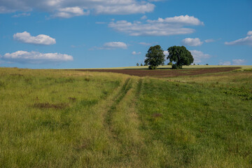 Fototapeta na wymiar Summer hilly landscape in Czechia
