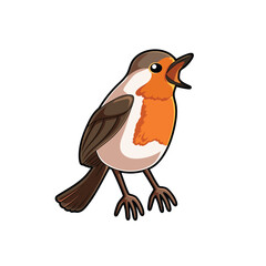 Robin Bird isolated white background, vector animal cartoon illustration
