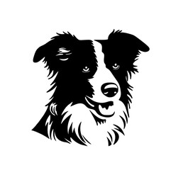 PNG one single sitting Border Collie dog head front view black and white bw two colors silhouette. Template for laser engraving or stencil, print for t shirt