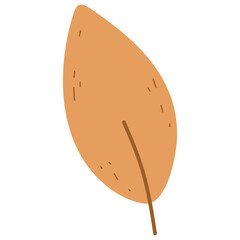 Autumn leaf icons