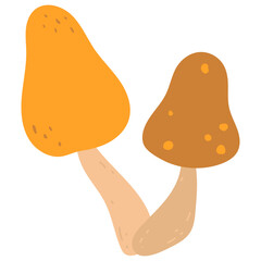 Autumn leaf icons