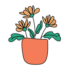 Indoor flowers in a pot on a white background
