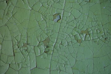 Cracked green paint on surface. Peeling paint rough texture. Old weathered paint with cracks peels of the wall. Grungy background