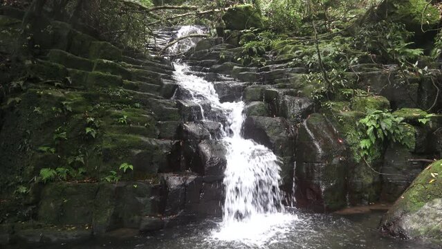 践祚の滝　鹿児島県薩摩川内市入来町