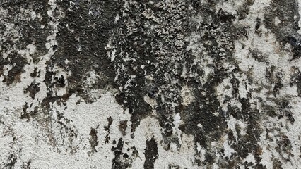 stone wall texture