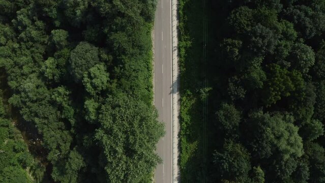 aerial view of the forest road. beautiful view from a bird's eye view of the forest and the road. Road Trip Through Forest. Scenic Summer Landscape.