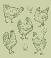 pattern of chickens vintage style