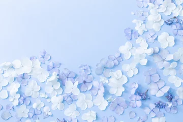 Fotobehang blue and white  hydrangea flowers on blue background © Maya Kruchancova