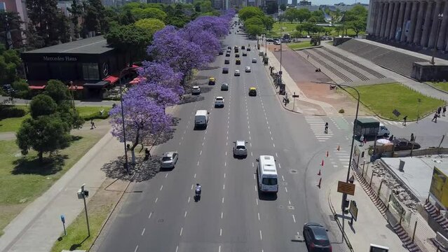 Vista a&eacute;rea &aacute;rboles de Jacaranda en la Av. del Libertador, Buenos Aires, Argentina