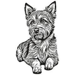 Border Terrier dog cartoon face ink portrait, black and white sketch drawing, tshirt print realistic breed pet