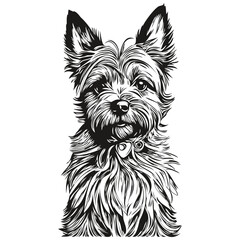 Cairn Terrier dog ink sketch drawing, vintage tattoo or t shirt print black and white vector