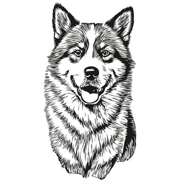 Akita dog logo vector black and white, vintage cute dog head engraved realistic breed pet