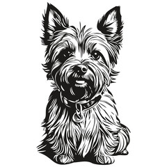 Cairn Terrier dog outline pencil drawing artwork, black character on white background