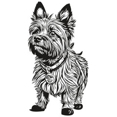 Cairn Terrier dog cartoon face ink portrait, black and white sketch drawing, tshirt print realistic pet silhouette