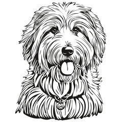 Old English Sheepdog dog cartoon face ink portrait, black and white sketch drawing, tshirt print