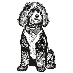 Portuguese Water dog hand drawn logo drawing black and white line art pets illustration realistic breed pet