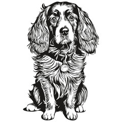 Spaniel Boykin dog realistic pet illustration, hand drawing face black and white vector sketch drawing