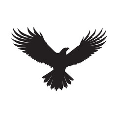 Plakat flying hawk silhouette on white vector