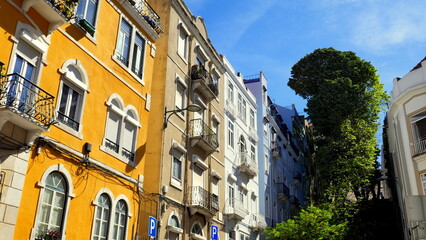 Typische Wohnhäuser in Lissabon (Alfama) schmal und hoch mit kleinen Balkonen und grünem Baum 