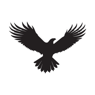 recommend clip art: flying hawk silhouette on white vector