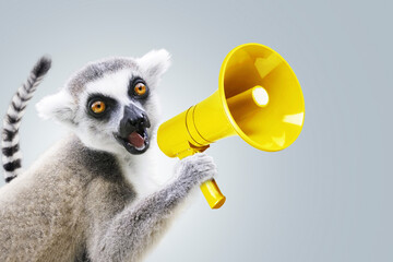 Funny beautiful lemur is holding a yellow loudspeaker and screaming on a neutral background. Attracting attention and marketing, creative idea. Successful leader. Speaks loudly, concept - obrazy, fototapety, plakaty