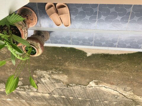 Tree plant pot and slippers on the floor near the wall.