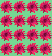 seamless sunflower pattern