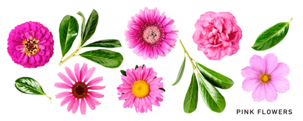 Türaufkleber Summer pink flowers and leaves set isolated. PNG with transparent background. Flat lay. Without shadow. © ifiStudio