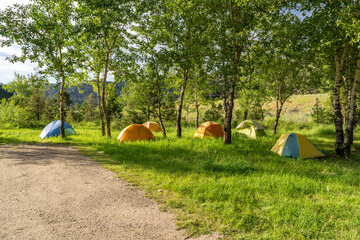 Six dome tents set up in a field of green grass and aspen and pine trees, Galena Gulch, Montana