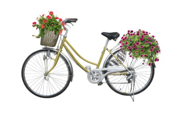 bicycle and flowers isolated