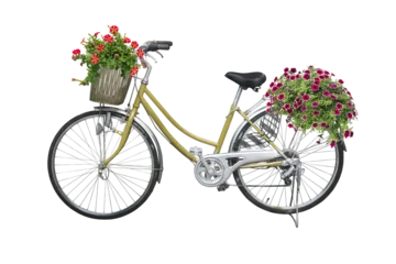 Papier Peint photo Vélo bicycle and flowers isolated