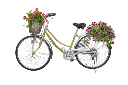bicycle and flowers isolated