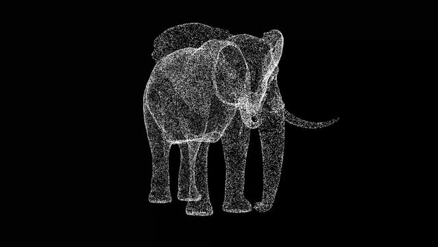 3D Elephant rotates on black bg. Seamless loop animation for animals, nature and educational backgrounds. For title, text, presentation. 3D animation 60 FPS