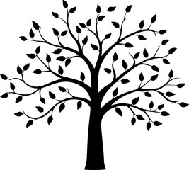 silhouette plant tree images