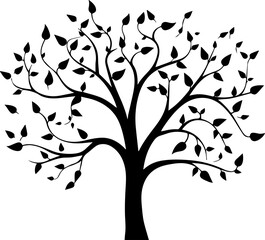 silhouette plant tree images