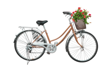 bicycle and flowers isolated