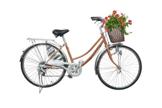 bicycle and flowers isolated