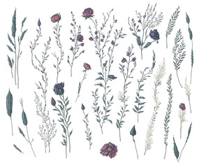 Obraz premium pattern with flowers Ai generate